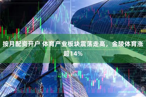 按月配资开户 体育产业板块震荡走高，金陵体育涨超14%